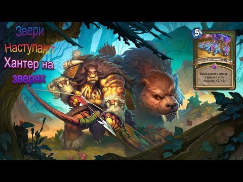 Видео: Звери наступают. Летал за 6 ходов. HearthStone