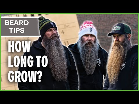 Видео: Сколько времени нужно, чтобы отрастить бороду | Уверенность в себе | Braw Beard (2024) #beardgrow...
