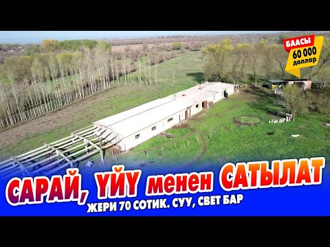 Видео: 70 сотик ЖЕРИ менен САРАЙ сатылат ~ Жашаганга үйү, кызыл китеп, суу, свет бар