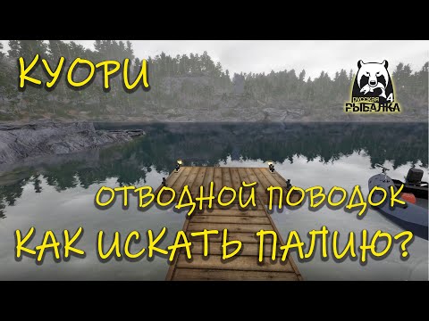 Видео: Русская рыбалка 4. Куори. Отводной поводок. Палия.