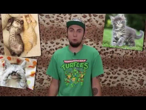 Видео: +100500 на ТВ - 115 выпуск