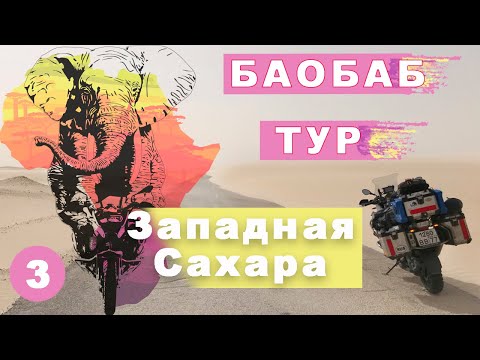 Видео: Баобаб тур. Западная Сахара. Мое большое путешествие на мотоцикле по Африке #3