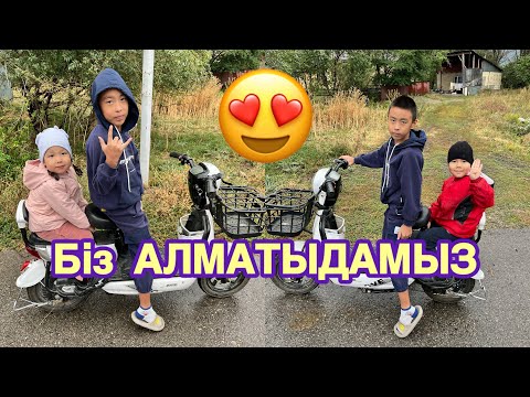Видео: СКУТЕР ТЕУІП🛵 БОКСТАСЫП БІР ЖЫЛАП АЛДЫҚ😅 #rekkkkkk #trend #рекомендации  