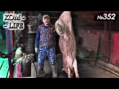 Видео: Дембель "Антохи" / Сколько вытянул в последний день?