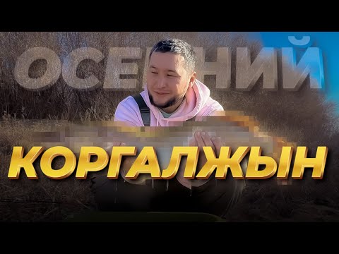 Видео: НУРА, ПОПЫТКА СЛОВИТЬ НАЛИМА!