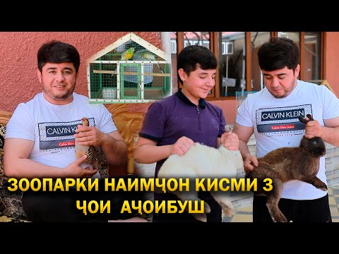 Видео: Зоопарки Наимчон Чои Ачоибуш. Кабгора Бин Канарейкара бин Талхат мекафа.