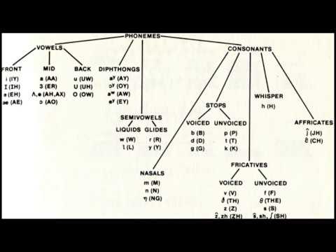 Видео: Спор о фонеме в русском языке и идеальная русская орфография