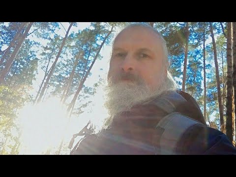 Видео: Утро ☀️ Цигун ☯️ Тайцзи! Дао ❄️ Зимы в прямом эфире !