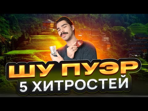 Видео: Как заваривать шу пуэр: 5 хитростей для идеальной чашки