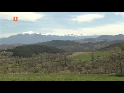 Видео: За силата на българския корен, "Бразди" 20.04.2024