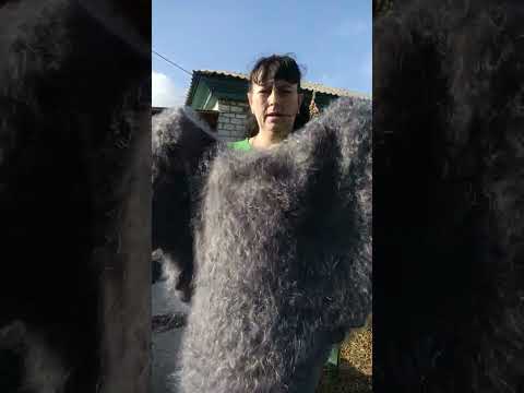 Видео: 6 сентября 2025 г.пуховые котята для здоровья и тепла. Т.89020931602