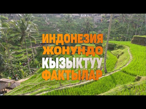 Видео: Индонезия жонундо кызыктуу фактылар | Бали аралынын кандай сырлары бар?
