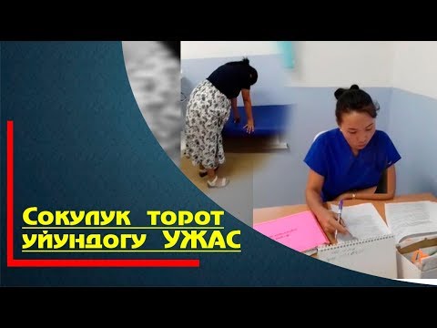 Видео: Сокулук торот уйундогу УЖАС