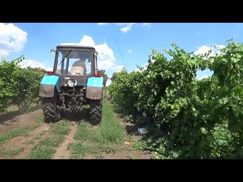 Видео: Замена тормозных дисков на МТЗ 920