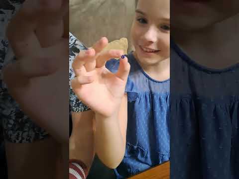 Видео: Челендж "Найди предмет" с KamilaKitten