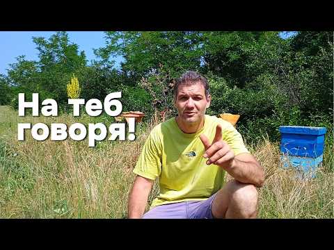 Видео: Всичко важно за сезона – в едно видео! Роене, мед, отводка... спасение?