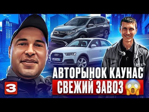 Видео: Авторынок Каунас свежий завоз