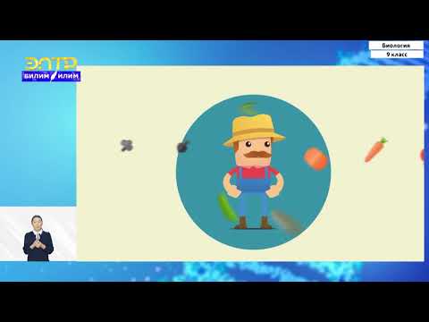 Видео: 9-класс | Биология | Фенотип организма как результат проявления генотипа