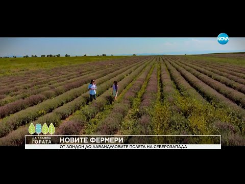 Видео: Да хванеш гората (23.07.2023)