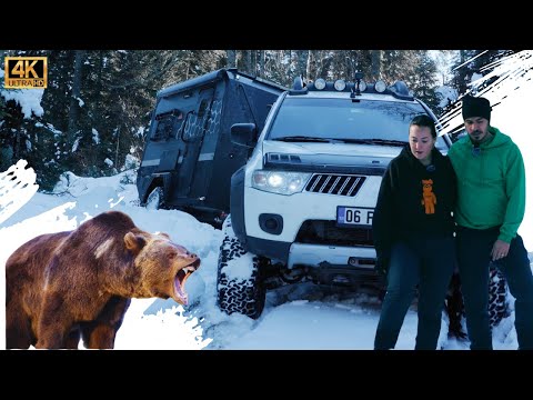 Видео: КАРАВАН ПОВОРАЧИВАЛСЯ - ВИДЕО КЕМПИНГА НА МЕДВЕДЬЕЙ ТРОПЕ