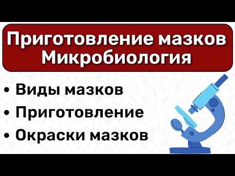 Видео: Мазки микробиология: приготовление мазков, виды окрасок микробиология