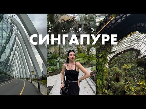 Видео: трогаю все растения в СИНГАПУРЕ и гуляю с чатом GPT-4