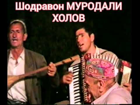 Видео: шодравон Муродали Холов гушкни рохат мекни патписат каданро фаромуш накнен
