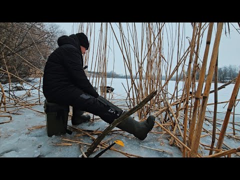 Видео: Бій з Карпами по Останньому льоду 2024 року Це Було Незабутньо