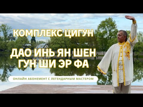 Видео: Дао Инь Ян Шен Гун Ши Эр Фа. Цигун абонемент с легендарным мастером #цигунонлайн #цигунабонемент