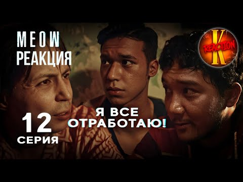 Видео: MEOW - 12 серия |  МЯУ - 12 серия | каштанов реакция