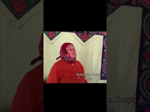 Видео: Алтын Оймок кол өнөрчүлүк борбору. Учебное видео. Мобильная медиашкола.