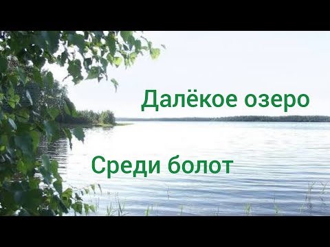 Видео:  На Святом  озере в хорошей компании 