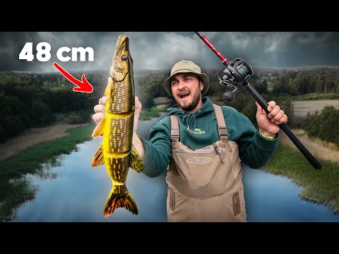 Видео: Пробую ГИГАНТСКИЕ приманки Swimbaits (48 см) для ловли щуки-людоеда!!! 🔥