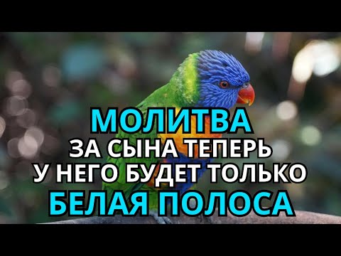 Видео: ❗️Каждая Мать должна послушать эту молитву! Очень сильная молитва за СЫНА от БЕДЫ, ПОРЧИ И Неудачи!