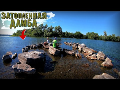 Видео: Ловля карпа на затопленной дамбе. Рыбалка на Днепре.