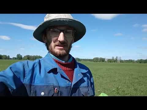 Видео: Время полевых экспериментов: Альбит, Нано-кремний №21