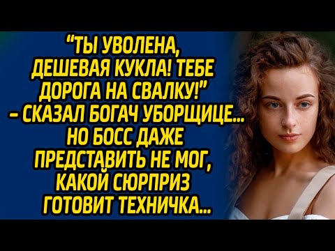 Видео: Ты уволена, дешёвая кукла! Тебе дорога на свалку! – сказал богач уборщице… Но босс даже представлял.