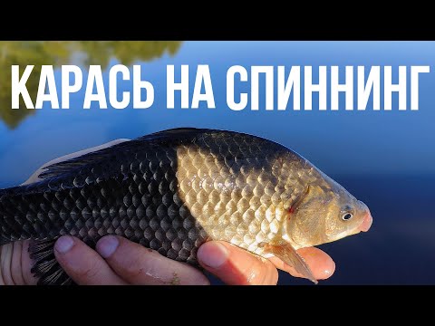 Видео: Первые майские караси! Мормышинг. Карась на спиннинг