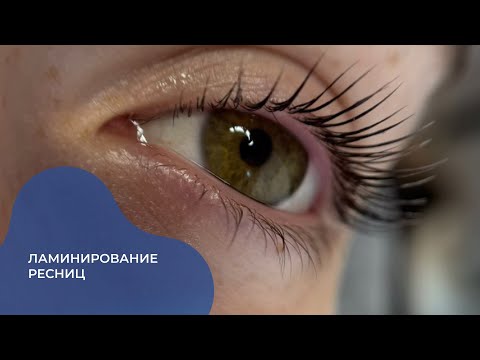 Видео: УРОК#11. Ламинирование ресниц. Профессия ЛАМИМЕЙКЕР. Быстрый вход в бьюти и достойный заработок.