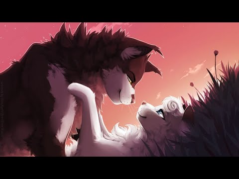 Видео: •Коты -  Воители ~ Белогривка и Остролап •• Крылья ( Заказ с канала Белая Звезда)•