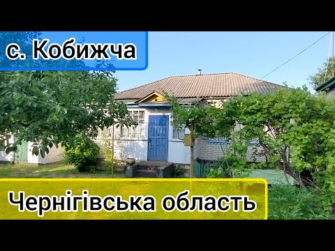 Видео: Огляд будинку в селі Кобижча, Чернігівська область. Продаж