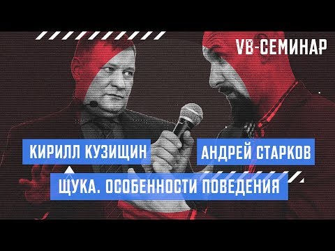 Видео: Кирилл Кузищин - Щука. Особенности поведения