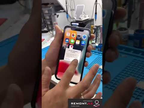 Видео: Замена дисплея на iPhone 11 без ошибки!