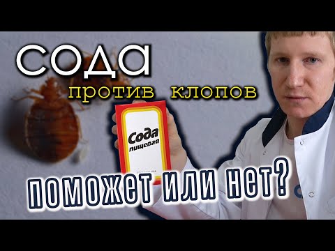 Видео: Помогает ли сода от клопов