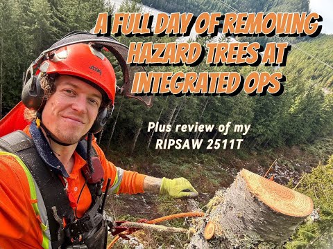 Видео: Целый день по удалению опасных деревьев в Integrated Ops