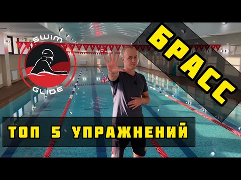 Видео: Как плавать БРАССОМ : 5  лучших упражнений