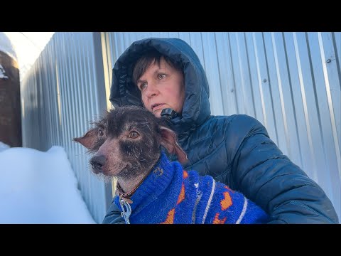 Видео: Его ЗАБРАЛИ ИЗ ПРИЮТА И ВЕРНУЛИ ЧЕРЕЗ 15 МИНУТ?!