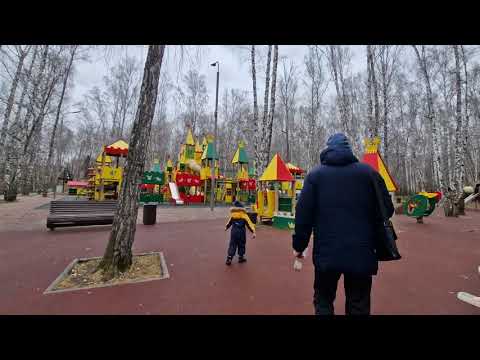Видео: Гуляем в осеннем парке