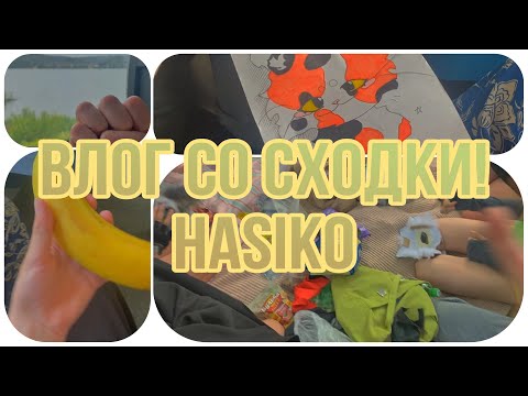 Видео: ⭐️✨🪶🌰{//Влог со сходки норкис!//}🌰🪶✨⭐️.  От хасико