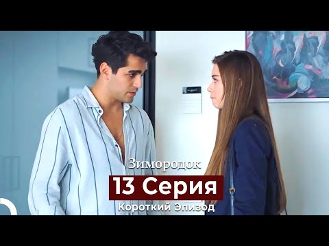 Видео: Зимородок 13 Cерия (Короткий Эпизод) (Русский дубляж)